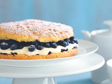 Easy blueberry shortcake
