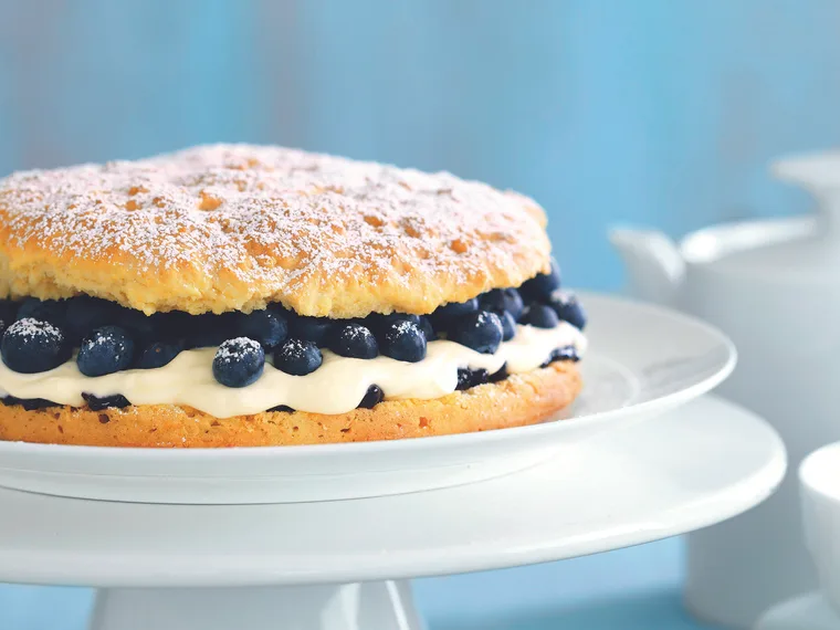 Easy blueberry shortcake