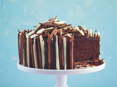 Chocolate curl cake