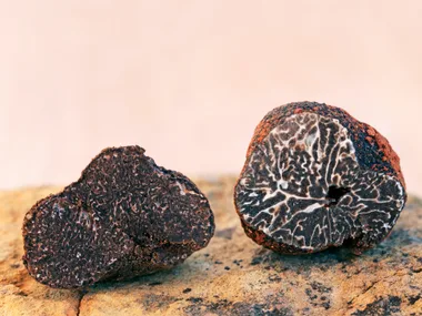 Black truffles