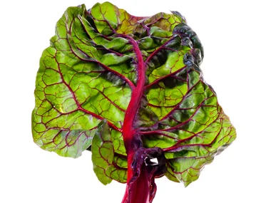 Winter greens