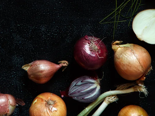Guide to onions