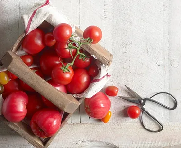 Chunky pomodoro sauce