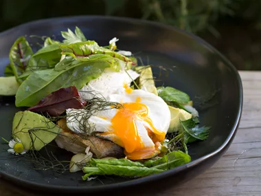 Avocado toast with fennel sauerkraut