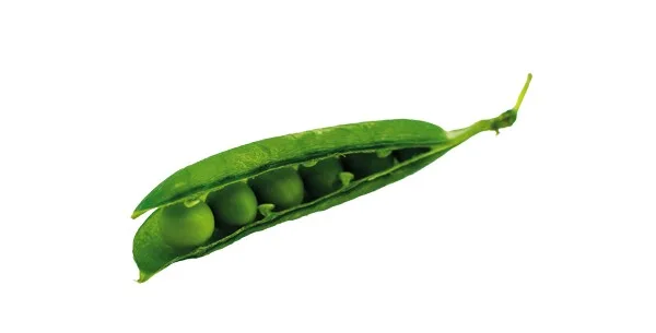 Simon Gault: How to make pea puree