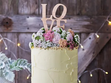 Happily in love forever after cake