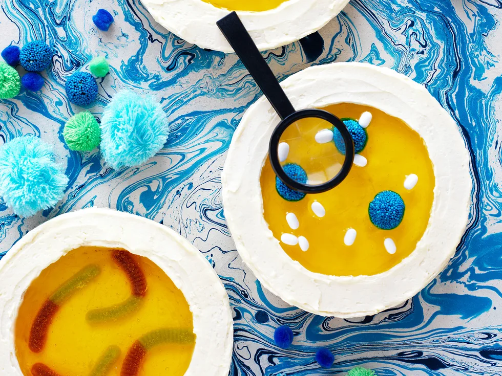 Petri dish cake