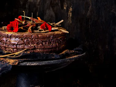 Spicy chocolate torte with sour cinnamon sauce & sugared pepitas
