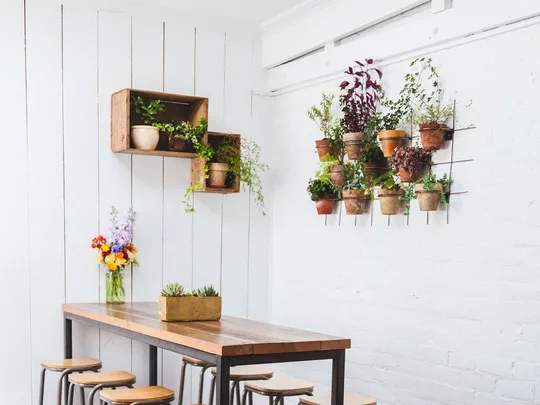 Foodie destination: Dear Jervois