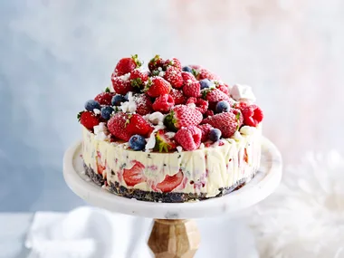 The-night-before frozen Christmas ice-cream cake