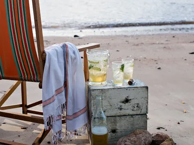 Citrus shandy