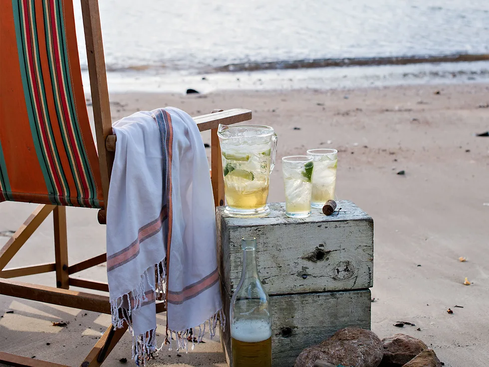 Citrus shandy