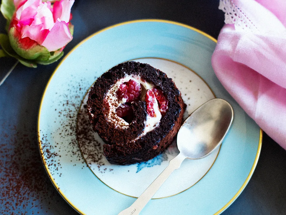 Chocolate & raspberry swiss roll