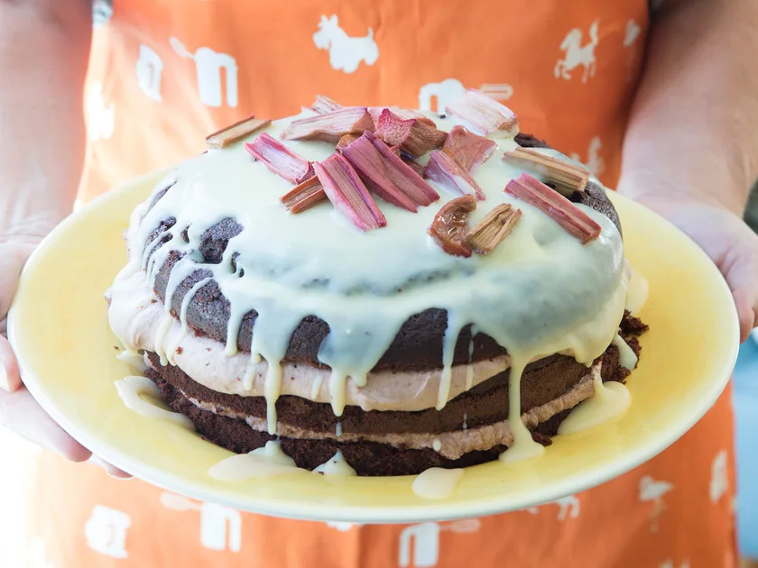 Chocolate and rhubarb layer cake