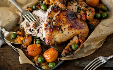 16 apricot chicken recipes to try