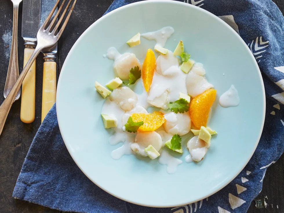 Scallop and lime ceviche