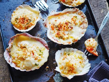 Creamy scallop gratin