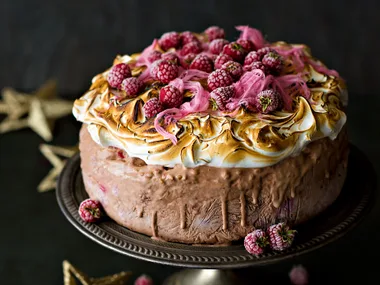 Hazelnut and chocolate ice cream cake