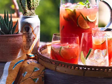 Gin and watermelon fizz