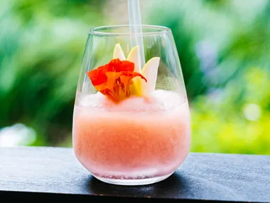 Frosé (frozen rose cocktail)