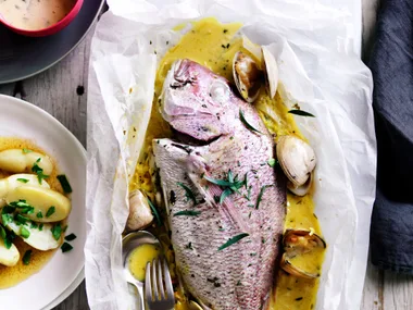 Terry Williams King's top fish tips