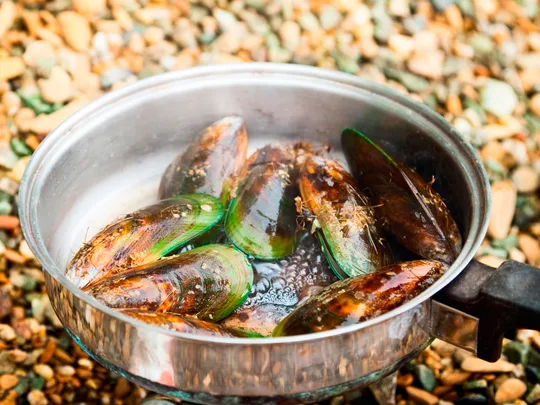 Plenty of mussel