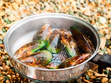 Plenty of mussel