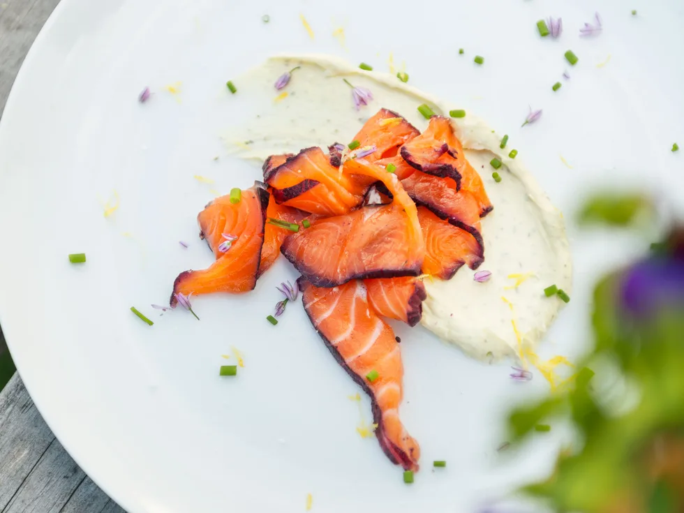 Miles’ blackcurrant-cured salmon