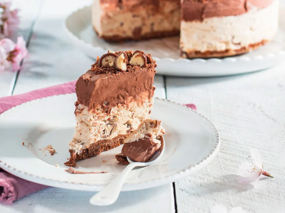 Mocha ice cream cake