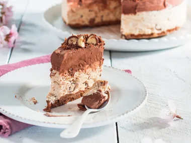 Mocha ice cream cake