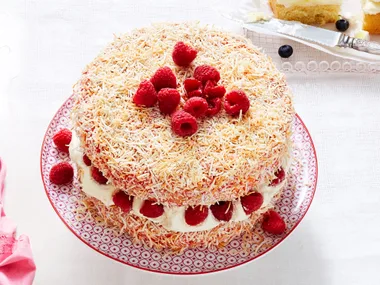 Giant jelly cake