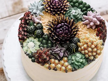 Lifelike succulent cakes are our favourite new food trend