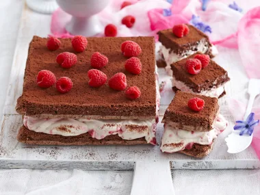 Double chocolate and raspberry sponge slice