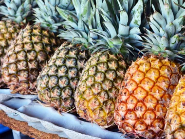 10 surprising facts you may not know about pineapple