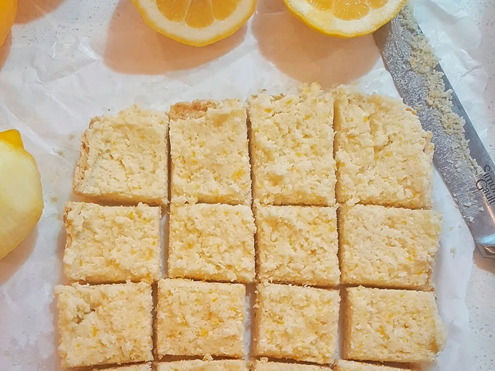 Zesty raw lemon slice