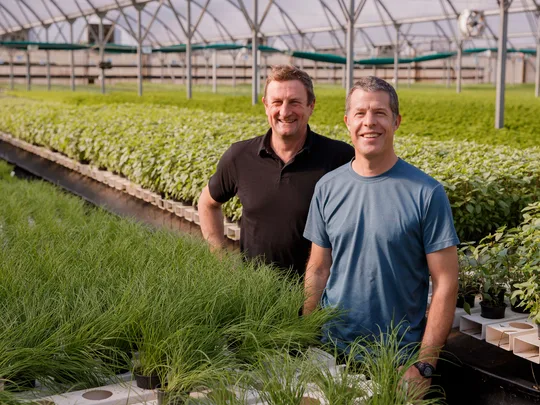 Where the fresh herbs grow