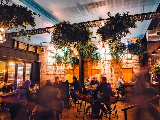 Dining in Dunedin