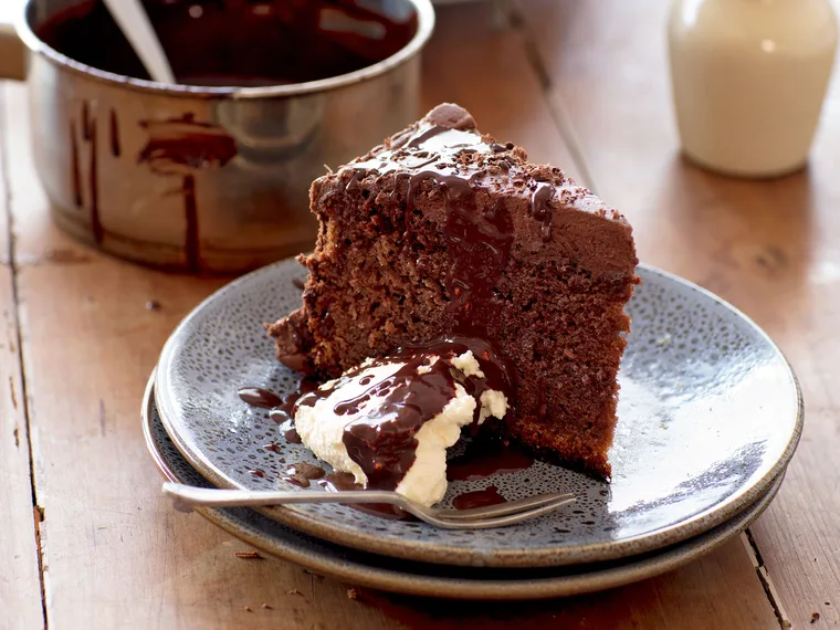 Chocolate and yoghurt cake