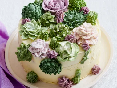 Succulent cake garden