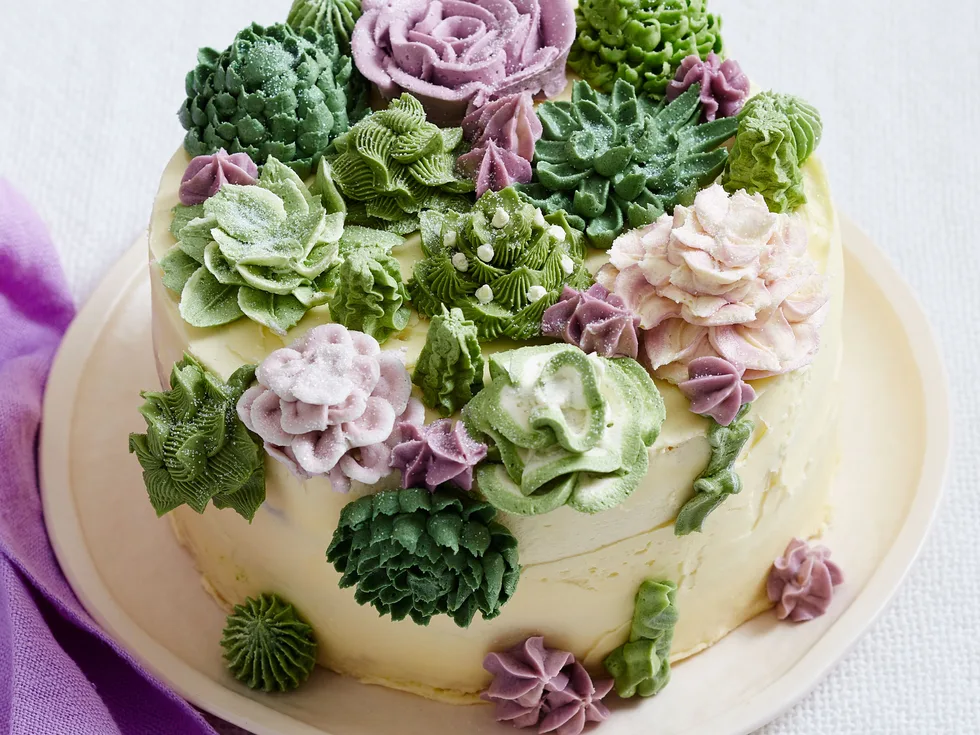Succulent cake garden