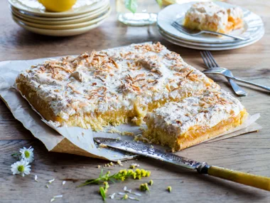 Louise slice with lemon curd and coconut