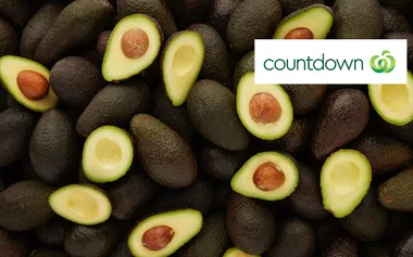 7 things every avocado addict needs to know
