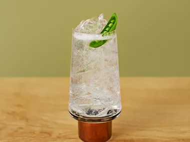 Garden and tonic