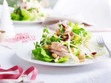Turkey, cranberry and peanut salad