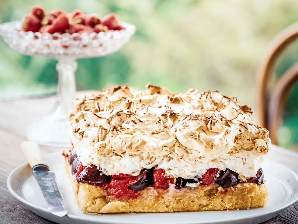 Raspberry and plum meringue torte