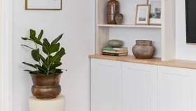 Fungus gnats in your houseplants? This is the fastest way to get rid of them