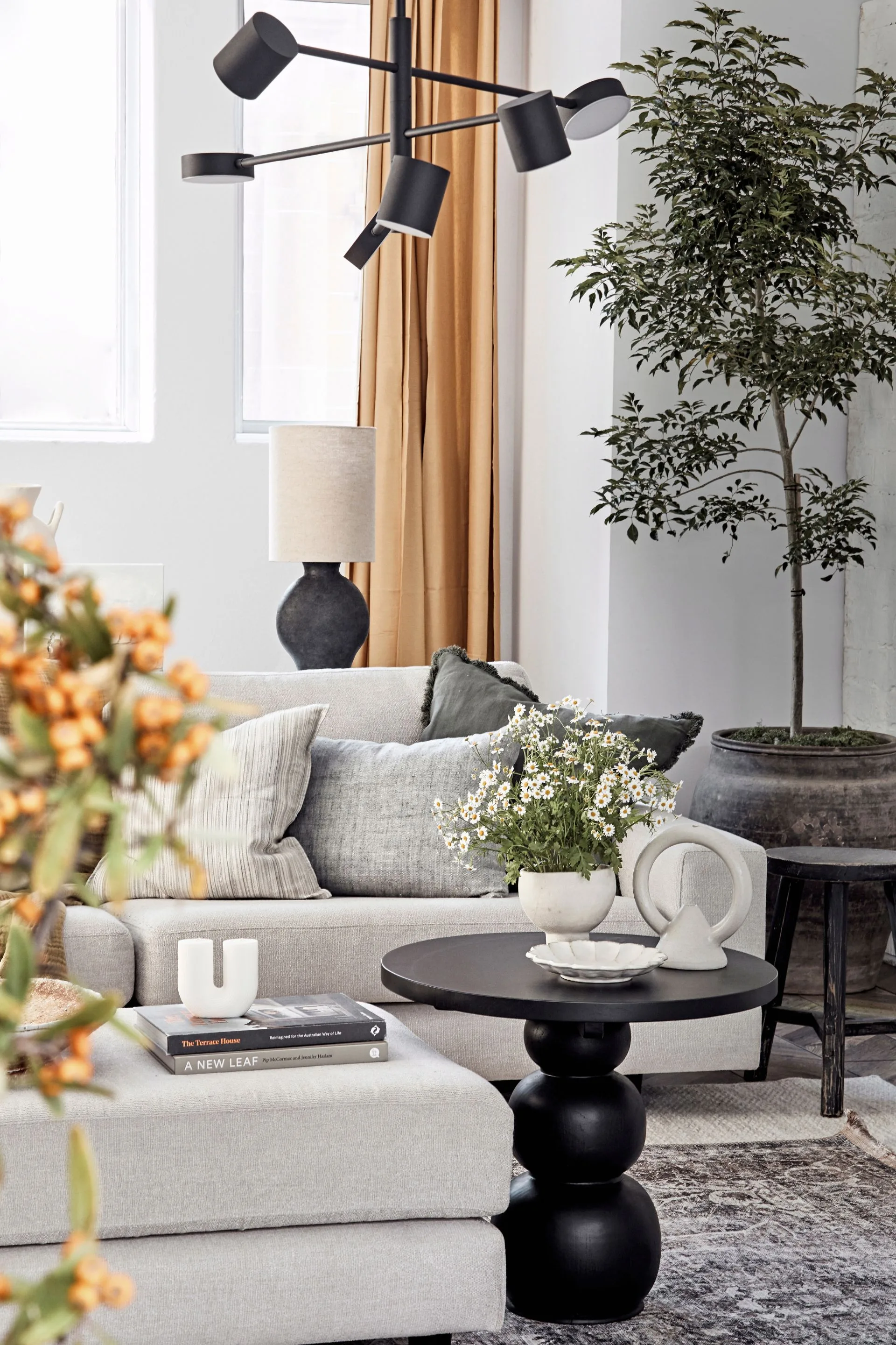 living room with plants