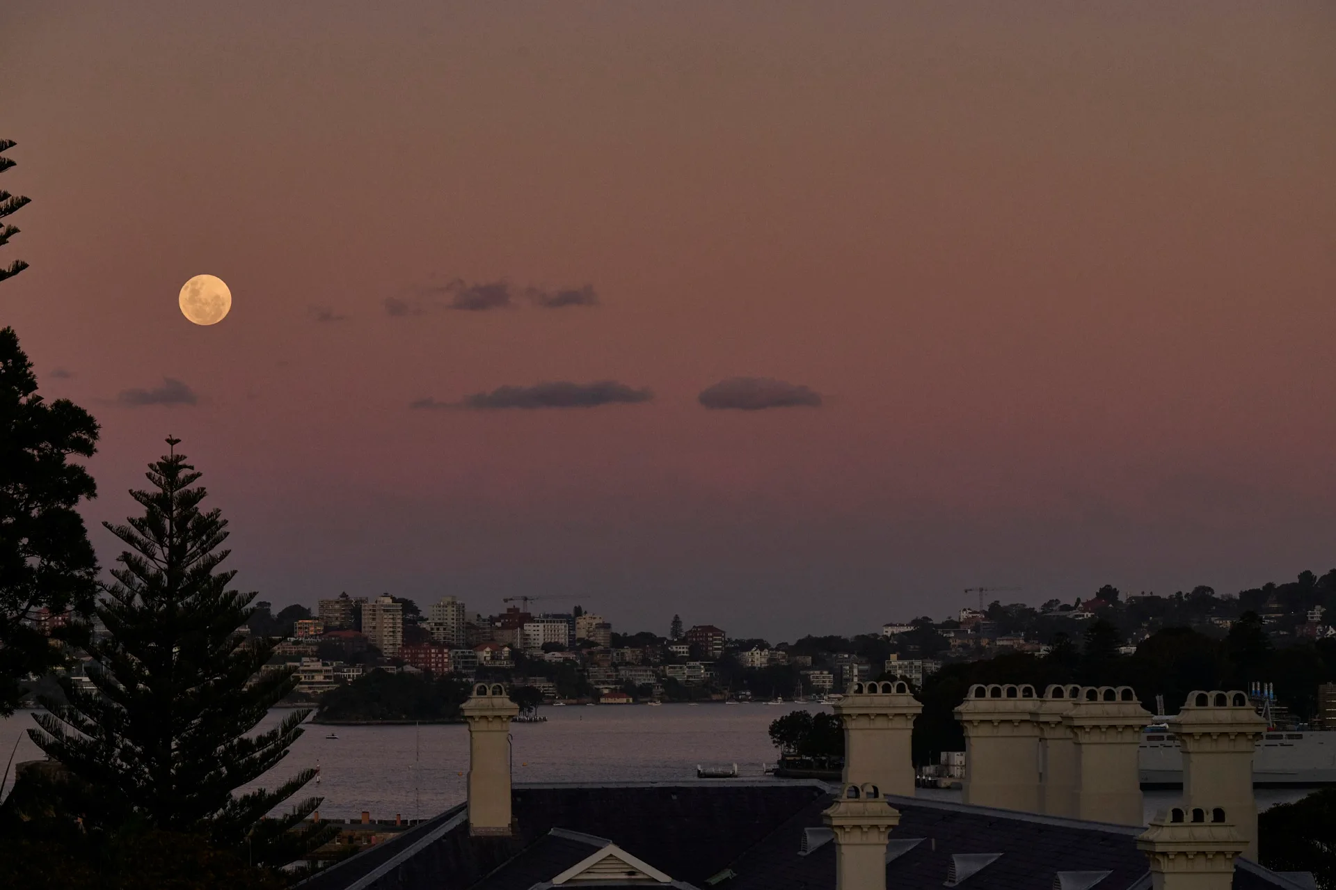 super moon event on pink sky with city in foreground