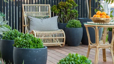 Elevated deck styled with cane furniture and potted plants