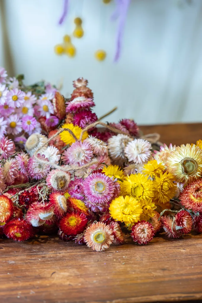 dried paper daises bundled on top of each other in a pile with hessian thread laying across them